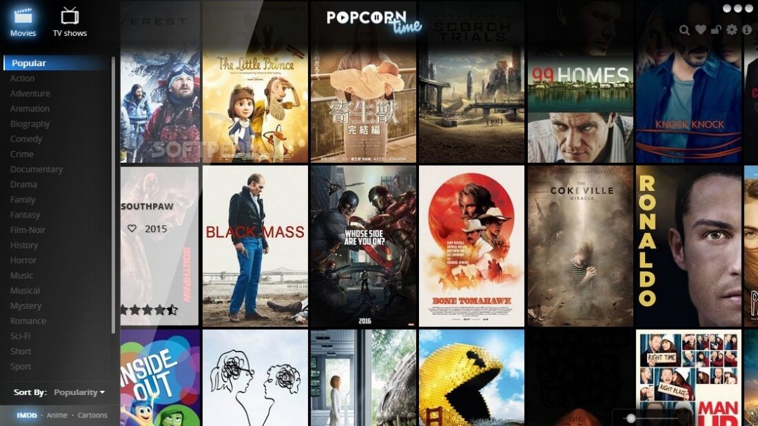 does popcorn time download on my computer
